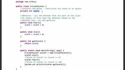 Java Interview Guide : 200+ Interview Questions and Answers - Object Basics - Class, Object, State and Behavior Instructional Video