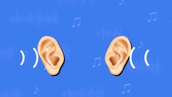 I WONDER - What Job Do Our Ears Do? Instructional Video