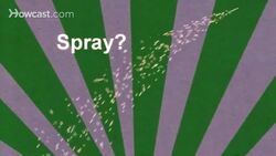 How to Stop Your Cat from Spraying Instructional Video