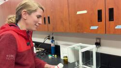 U of G professor accidentally created a slime that generates electricity News Clip