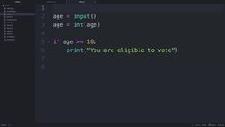 Intro To Python Programming - Else Statements Instructional Video