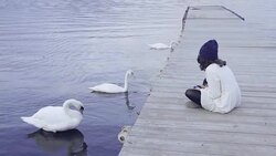 Asian tourist woman sitting with swan at Lake Kawaguchi Stock Footage