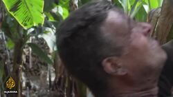 Damage grows as Canary Island lava flows, firefighters retreat News Clip