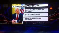 Trump's Crypto Reserve Met With Skepticism News Clip