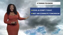 Cool with highs in the mid-50s today for the Bronx; tracking Thanksgiving week storms News Clip