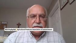 Sask. canola farmers feel caught in the middle of Canada-China trade war News Clip
