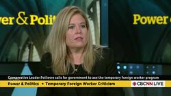 Claims that Canadians won't work entry-level jobs are 'bunk': Conservative MP | Power & Politics News Clip