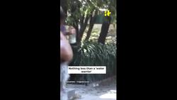 Climate Warriors Who Are Single-Handedly Working Hard To Protect The Environment News Clip