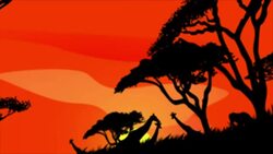 animals and safari of africa Stock Footage