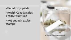 Shoppers hit with pot shortage on Day 2 of legal weed News Clip