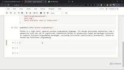 Social Media Automation using Python - Some Extra Perks Instructional Video