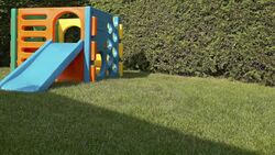 Fall: The Prettiest Time of Year Instructional Video