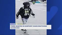 Man threatened with gun and robbed of jewelry in Soundview News Clip