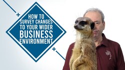 How to Survey Changes to Your External Business Environment Instructional Video