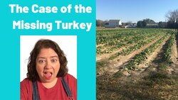 The Case of the Missing Turkey (Reading Strategy: Summary) Instructional Video
