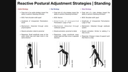 Reactive Postural Adjustments | Strategies For Maintaining Balance Instructional Video
