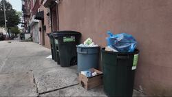 Residents reeling from mounting trash bins, say they are ready for city's 'Revolutionary Empire Bins' News Clip