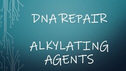 Repair of DNA Damage by Alkylating Agents Instructional Video