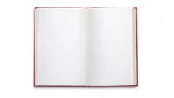 Reflection Instructional Video