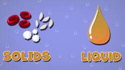 I WONDER - What Is Blood Made Of? Instructional Video