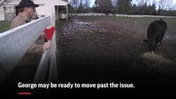 Poll: Many unready to clear Trump in Russia probe Instructional Video