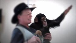 Apes: A Reminder of Our Past and Responsibilities for the Future Instructional Video