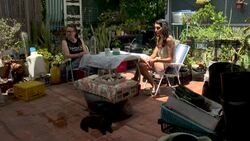 VOICED : Cannabis terapéutico: de medicina ilegal a prometedora industria en Argentina News Clip