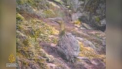 Yemen oil tanker: Crowdfunding to help emergency transfer operati News Clip