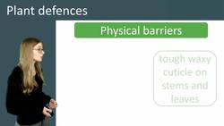 Plant Defences: Physical Barriers and Chemicals Instructional Video