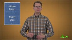 We May Have Found a New Organ, Thanks to Cancer Therapy Instructional Video