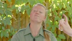 How Zookeepers Use 'Enrichment' to Keep Animals Happy Instructional Video