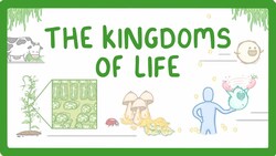 Kingdoms of Life - Animals, Plants, Fungi, Protoctists, Bacteria and Viruses #1 Instructional Video