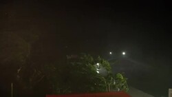 Hurricane Hits At Night Dangerous Wind And Rain Lash Trees Stock Footage
