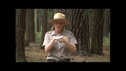 Driving Instructional Video