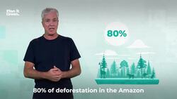 Meat Production: Can we cut back? News Clip