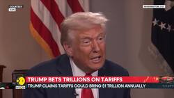 Trump Bets Trillions On Tariffs News Clip