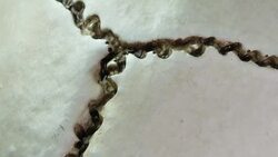 Human Skull Analysis Stock Footage