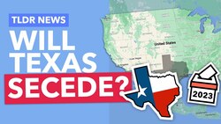 Texas’ Republican Platform Explained - TLDR News Instructional Video