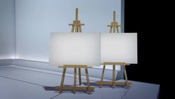 Leonardo da Vinci may have had eye disorder Instructional Video