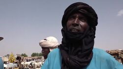 Niger heatwave: Animals dying in blistering heat News Clip