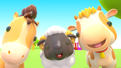 Farm Instructional Video