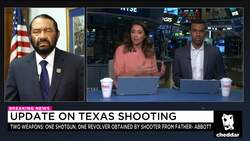 Rep. Al Green: House Speaker Ryan Needs to 'Get Out of the Way' of Gun Reform News Clip