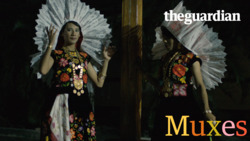 Muxes Instructional Video