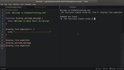 Bash Shell Scripting - Simple Function Instructional Video