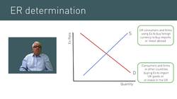 Understanding Exchange Rates: Basics and Effective Exchange Rates Instructional Video