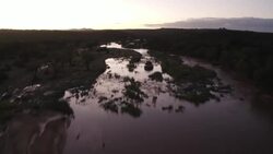 VOICED : South Africa's anti-poaching rangers on duty despite lockdown News Clip