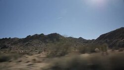 General shots of Joshua Tree National Park News Clip