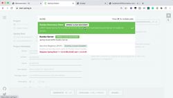 Master Microservices with Spring Boot and Spring Cloud - Step 22 – Setting Up Spring Cloud API Gateway Instructional Video