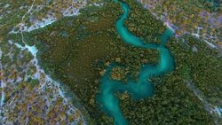 mangrove swamps at Mafia Island, Tanzania Stock Footage