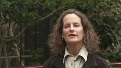 A Pair of Clouded Leopard Brothers Haven't Yet Mastered the Art of Falling Instructional Video